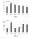 Fig. 02 - MUC1-DERIVED PEPTIDE, AND PHARMACEUTICAL COMPOSITION FOR TREATMENT OR PREVENTION OF CANCER, IMMUNITY-INDUCING AGENT AND METHOD FOR MANUFACTURING ANTIGEN PRESENTING CELL USING SAME