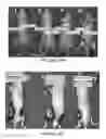 Fig. 22 - Peptides capable of reactivating p53 mutants
