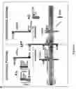 Fig. 02 - A PEPTIDE OR COLLECTION OF PEPTIDES DERIVED FROM AMYLOID PRECURSOR PROTEIN