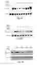 Fig. 09 - STABILIZED POLYPEPTIDE INSULIN RECEPTOR MODULATORS
