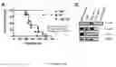 Fig. 02 - Methods of treating and preventing infections and associated conditions