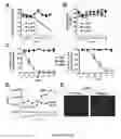 Fig. 06 - Methods of treating and preventing infections and associated conditions