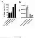 Fig. 07 - Methods of treating and preventing infections and associated conditions