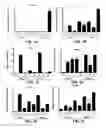 Fig. 02 - DICAM-specific antibodies and uses thereof