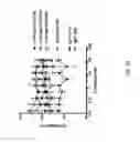 Fig. 45 - Multivalent and multiepitopic antibodies having agonistic activity and methods of use