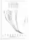Fig. 14 - Attrition resistant proppant composite and its composition matters