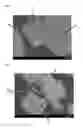 Fig. 04 - Nitride fluorescent material and light emitting device