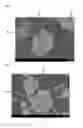 Fig. 05 - Nitride fluorescent material and light emitting device