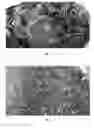 Fig. 03 - Multistage thermolysis method for safe and efficient conversion of e-waste materials