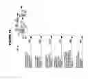 Fig. 17 - Method of producing product gas from multiple carbonaceous feedstock streams mixed with a reduced-pressure mixing gas