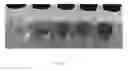 Fig. 06 - Accelerated spirit/beverage aging and flavor loading methods and systems