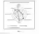 Fig. 07 - Accelerated spirit/beverage aging and flavor loading methods and systems