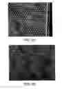 Fig. 04 - Development of spinal cord on a microfluidic chip