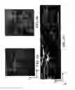 Fig. 05 - Development of spinal cord on a microfluidic chip