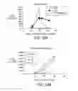 Fig. 12 - Development of spinal cord on a microfluidic chip
