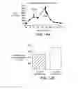 Fig. 15 - Development of spinal cord on a microfluidic chip