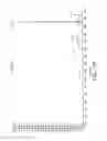 Fig. 19 - Development of spinal cord on a microfluidic chip
