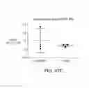 Fig. 20 - Development of spinal cord on a microfluidic chip