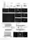 Fig. 02 - DIRECT CONVERSION OF CELLS TO CELLS OF OTHER LINEAGES