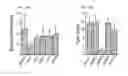 Fig. 12 - DIRECT CONVERSION OF CELLS TO CELLS OF OTHER LINEAGES