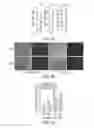 Fig. 04 - Functional myelination of neurons