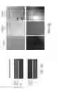 Fig. 15 - Functional myelination of neurons