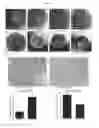 Fig. 03 - 3D microphysiologic system