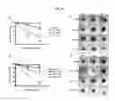 Fig. 09 - 3D microphysiologic system