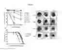 Fig. 11 - 3D microphysiologic system