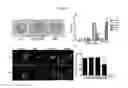 Fig. 13 - 3D microphysiologic system