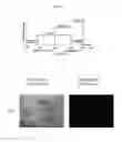 Fig. 21 - 3D microphysiologic system