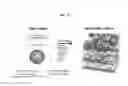 Fig. 25 - 3D microphysiologic system
