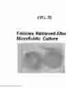 Fig. 27 - 3D microphysiologic system