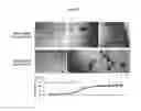 Fig. 33 - 3D microphysiologic system
