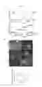 Fig. 47 - 3D microphysiologic system
