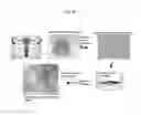 Fig. 48 - 3D microphysiologic system