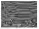 Fig. 01 - METAL CATALYST, MANUFACTURING METHOD AND APPLICATION THEREOF