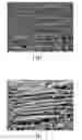 Fig. 02 - METAL CATALYST, MANUFACTURING METHOD AND APPLICATION THEREOF