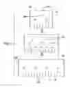 Fig. 04 - Wood support protection device