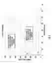 Fig. 07 - Vented linear actuator