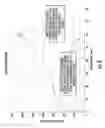Fig. 08 - Vented linear actuator