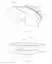 Fig. 08 - Lighting device having light-guiding shield