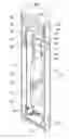 Fig. 07 - Condenser