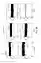 Fig. 07 - SYSTEMS AND METHODS FOR SINGLE-MOLECULE DETECTION USING NANOTUBES