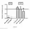 Fig. 07 - Methods to detect non-genotoxic carcinogens using flatworms
