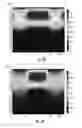 Fig. 07 - Methods for forming ion-exchanged waveguides in glass substrates