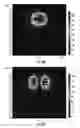 Fig. 09 - Methods for forming ion-exchanged waveguides in glass substrates