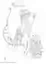 Fig. 05 - Tubing for equalizing lengths of fiber optic ribbons of a ribbon stack in distribution frames/cabinets/trays
