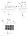 Fig. 04 - Carrier method, exposure method, carrier system and exposure apparatus, and device manufacturing method