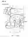 Fig. 07 - Image forming apparatus that reduces image quality deterioration caused by adhesion of paper powder and scattering of toner